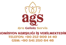 ARA GELSİN SERVİS