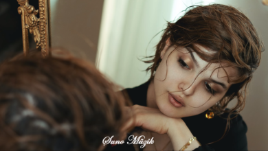 in love Aşık Duygusal Şarkılar