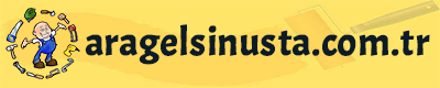 Ara Gelsin Usta